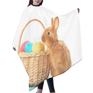 Personality  Cute Fluffy Bunny In Wicker Basket Hair Cutting Cape