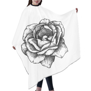 Personality  Hand Drawn Illustrations Of Rose Flower Hair Cutting Cape