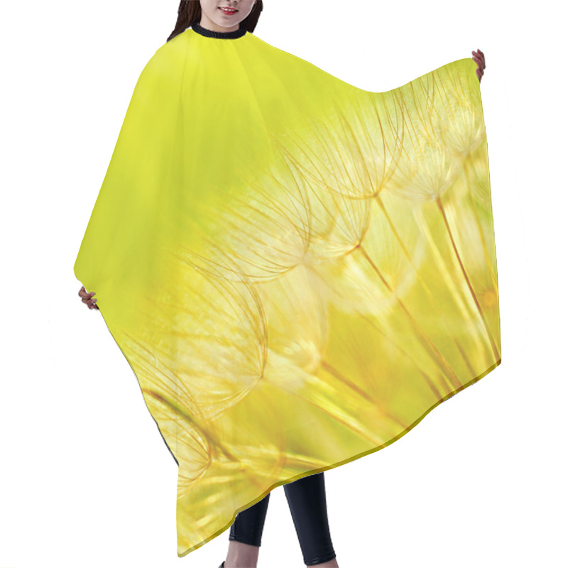 Personality  Abstract Dandelion Flower Background Hair Cutting Cape