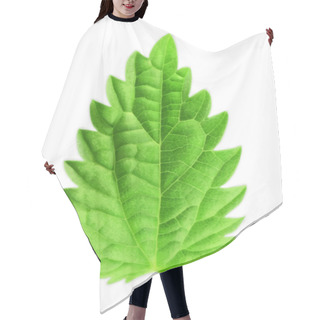 Personality  Mint Leaf, Vector Illustration Hair Cutting Cape
