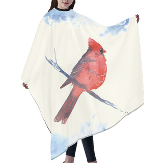 Personality  Cardinal Bird Watercolor-style Vector Illustration. Hair Cutting Cape