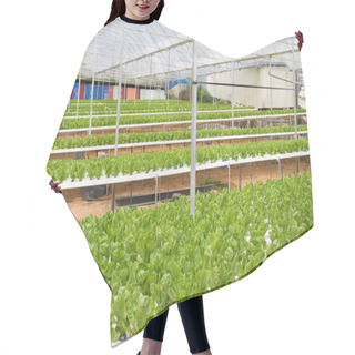 Personality  Hydroponic Green House Hair Cutting Cape