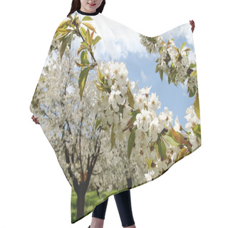 Personality  Almond Flower Trees At Spring Hair Cutting Cape