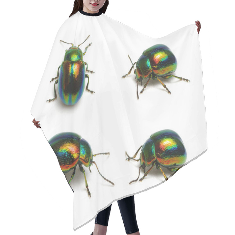 Personality  Green beetle isolated on white background hair cutting cape