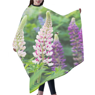 Personality  Bee Flying Above Pink Lupine Flower On Meadow Hair Cutting Cape