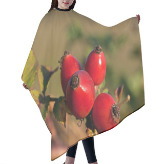 Personality  Rose-hips Hair Cutting Cape