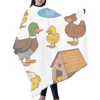 Personality  Set Of Cute Farm Animals And Objects, Vector Family Duck, Colori Hair Cutting Cape