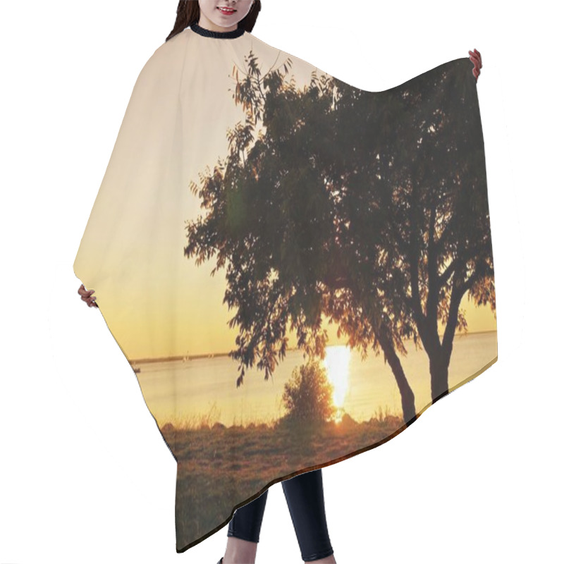 Personality  Silhouette Of A Tree By Hefner Lake At Sunset, Oklahoma City Hair Cutting Cape