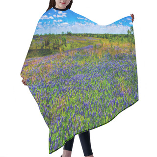 Personality  A Beautiful Wide Angle Panoramic View Of A Texas Field Blanketed With The Famous Texas Bluebonnet Hair Cutting Cape