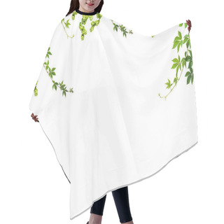 Personality  Foliage Hair Cutting Cape