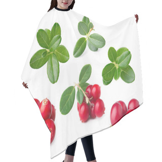 Personality  Cowberry Isolated Hair Cutting Cape