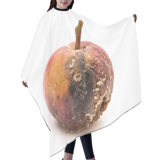 Personality  Rotten Apple With Fungus Hair Cutting Cape