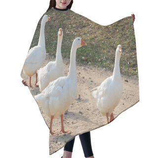 Personality  Gaggle Of White Domestic Geese Hair Cutting Cape