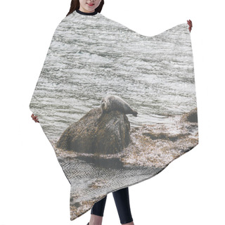 Personality  Seal Hair Cutting Cape