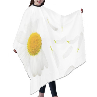 Personality  Chamomile Isolated On A White Background. Daisy Flower. Top View Hair Cutting Cape