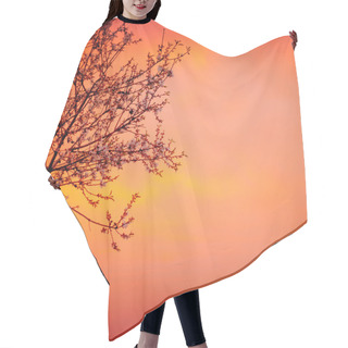 Personality  Blooming Tree On Sunset Background Hair Cutting Cape