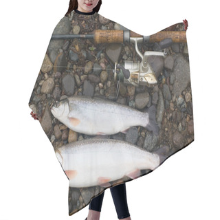 Personality  Spinning And Caught Trout Hair Cutting Cape