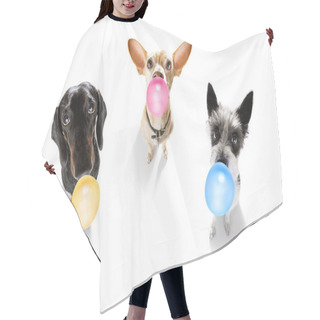 Personality  Dog Chewing Bubble Gum Hair Cutting Cape