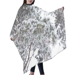Personality  Tree Branches Covered With Snow In Forest Hair Cutting Cape