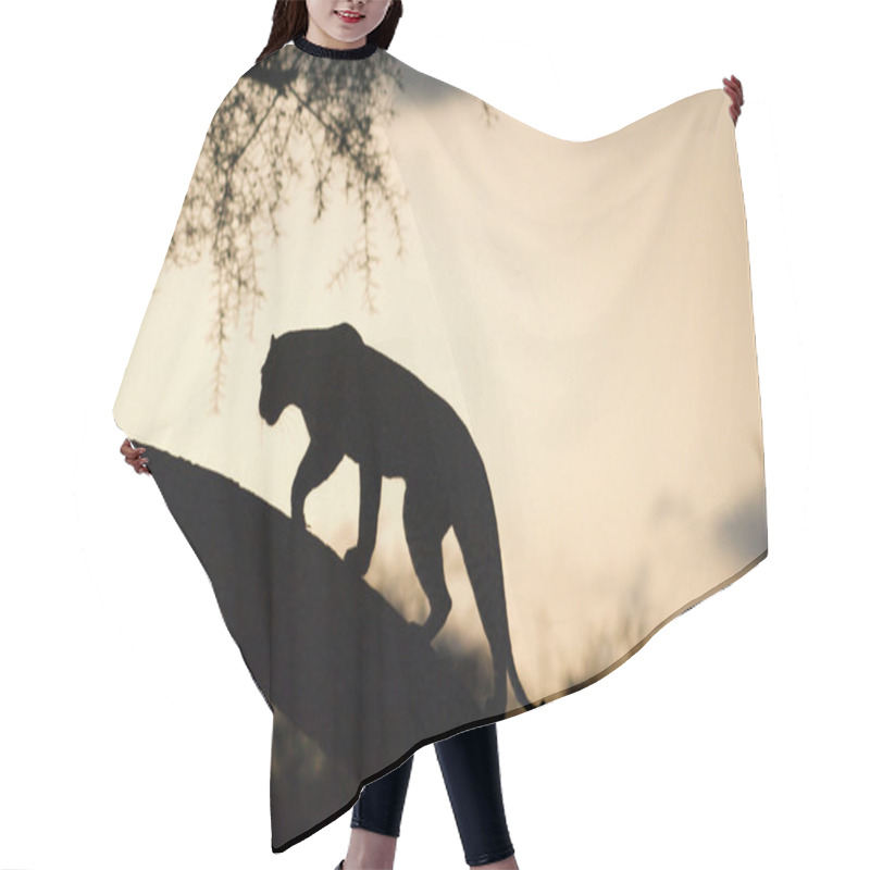 Personality  Leopard In Sunset Hair Cutting Cape