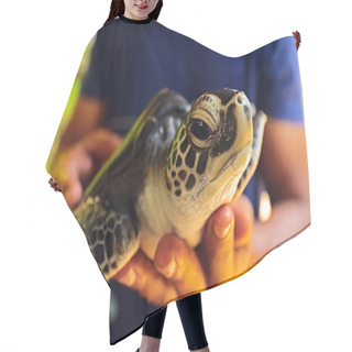 Personality  Turtle Hair Cutting Cape