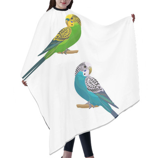 Personality  Parrots Isolated On White Background. Vector Illustration. Hair Cutting Cape