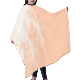 Personality  Color Of The Year 2024 Peach Fuzz. Beautiful Soft Background. Parachutes Dandelion. Copy Space. Soft Focus On Water Droplets. Circular Shape, Abstract Background. Hair Cutting Cape