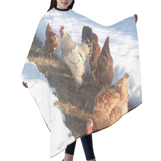 Personality  Animals Family Hair Cutting Cape
