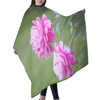 Personality  Peony Hair Cutting Cape