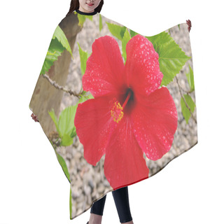 Personality  Hibiscus 10 Hair Cutting Cape