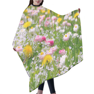 Personality  Summer Meadow With Daisy And Dandelion Flowers Hair Cutting Cape