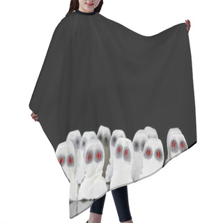 Personality  Evil White Ghosts In A Crowd Hair Cutting Cape