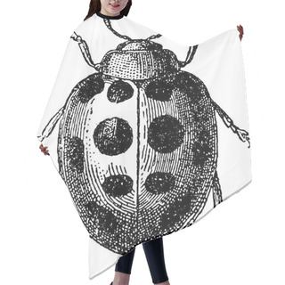Personality  Vintage Clipart Beetle Ladybug Hair Cutting Cape