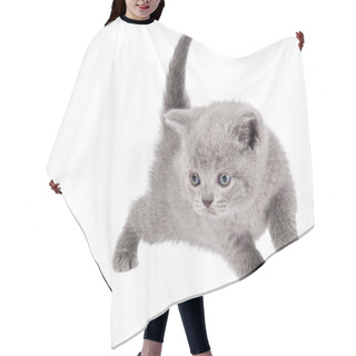 Personality  One Little British Kitten Cat Hair Cutting Cape