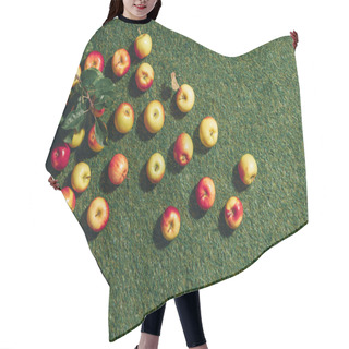 Personality  Top View Of Apples With Apple Tree Leaves On Green Grass Background  Hair Cutting Cape