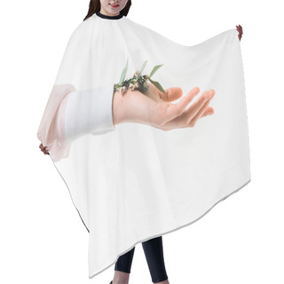 Personality  Cropped View Of Female Hand Holding Eucalyptus Leaves With Flowers In Hand On White  Hair Cutting Cape