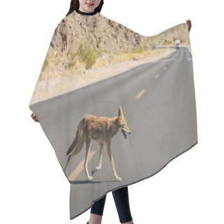 Personality  Coyote Crossing The Road Hair Cutting Cape