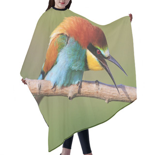 Personality  Colorful Bird On A Branch Shouts Hair Cutting Cape