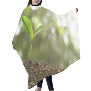 Personality  Green Sprout Growing Out From Soil On Nature Background Hair Cutting Cape