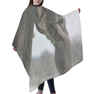 Personality  African Big Animal, Elephant Hair Cutting Cape