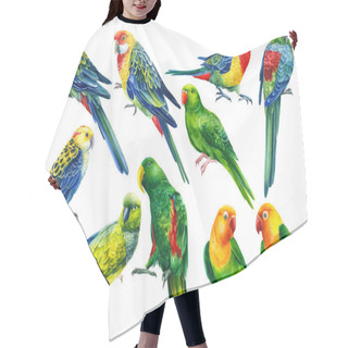 Personality  Set Parrots On Isolated White Background, Bright Bird Watercolor Painting, Illustration Hair Cutting Cape