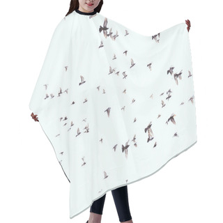 Personality  Full Frame Of Wild Birds Flying In Clear Blue Sky Hair Cutting Cape