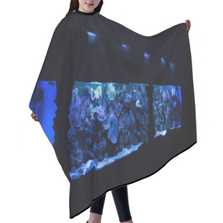 Personality  Fishes Swimming Under Water In Aquariums With Blue Lighting Hair Cutting Cape