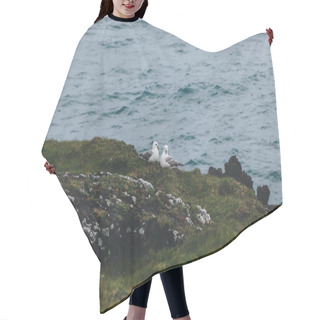 Personality  Perching Hair Cutting Cape