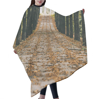 Personality  View Of Empty Autumn Park With Brown Foliage On Path Hair Cutting Cape