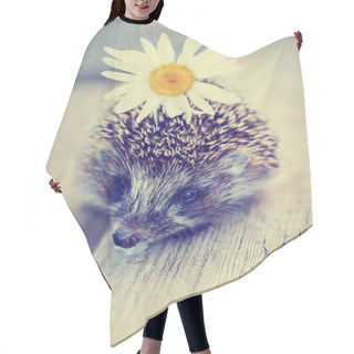 Personality  Hedgehog With Daisy Flower Hair Cutting Cape