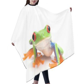 Personality  Frog Closeup On White Hair Cutting Cape