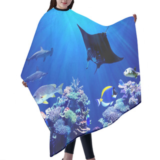 Personality  Background Of Underwater Coral Reef And Hammerhead Shark Meeting Manta Ray Hair Cutting Cape