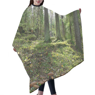 Personality  Backlight Through Forest With Green Moss Floor Hair Cutting Cape