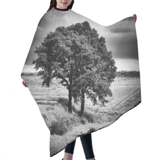 Personality  Awesome Skyscape Over Land Hair Cutting Cape